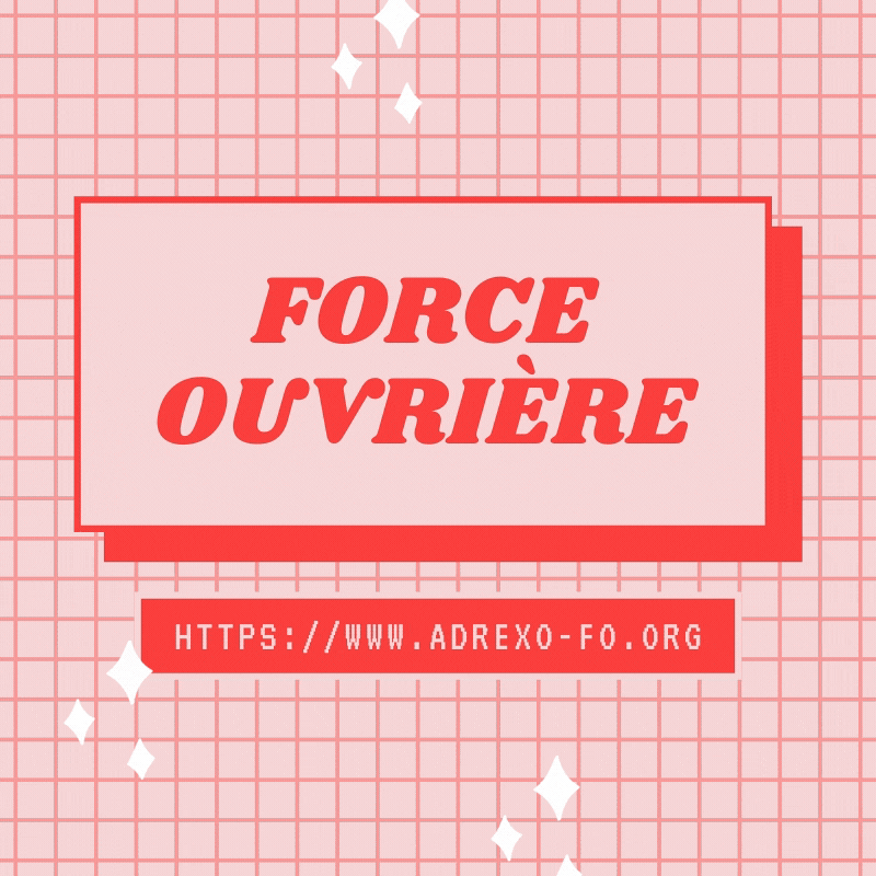 FORCE_OUVRIRE_3 Syndicat FO au service des salariés d'ADREXO - Réunions CSE et NAO